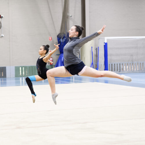 THE MCDONALD COLLEGE WELCOMES The HUMAN RIGHTS COMMISSION’S REVIEW INTO GYMNASTICS AUSTRALIA