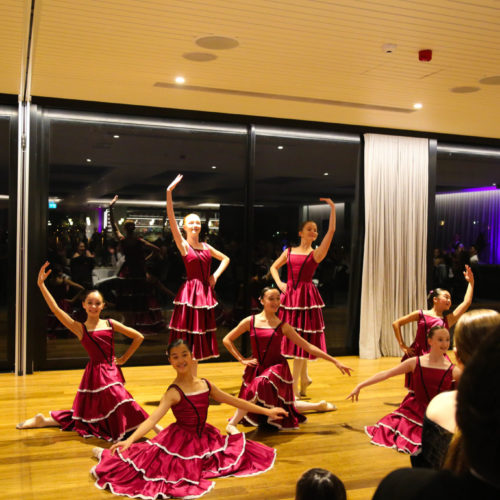 The McDonald College Performing Arts Primary and Secondary School in Sydney
