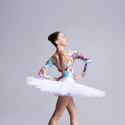 International Summer School 2023 The McDonald College