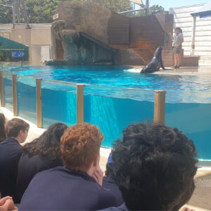 The McDonald College students visit Taronga Zoo in Sydney Geography excursion