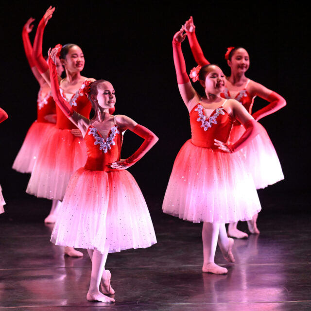 McDonald College Classical Ballet - Performing Arts School
