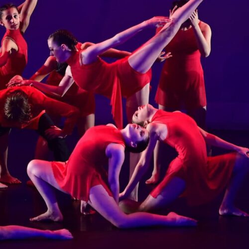 High Performance Season 2025: Dance+