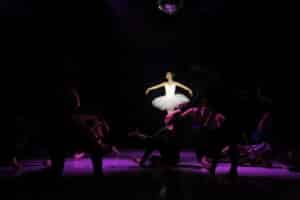 2605 Dance Showcase Exhibit Movement 18052026  179